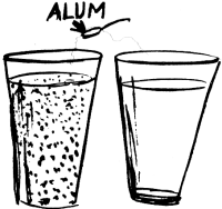 How to Find Water - Finding Water - Wilderness Survival - Purifying Water With Alum