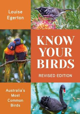 Know Your Birds, by Louise Egerton - White-browed Scrubwren - Sericornis frontalis
