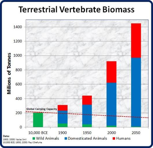 World Terrestrial Vertebrate Biomass by Paul Chefurka